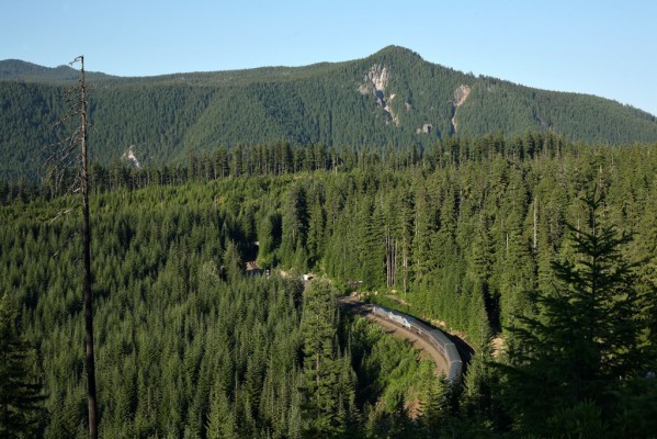 Amtrak's southbound Coast Starlight climbing the Cascades at Cruzatte, Oregon, about to enter tunnel 5.