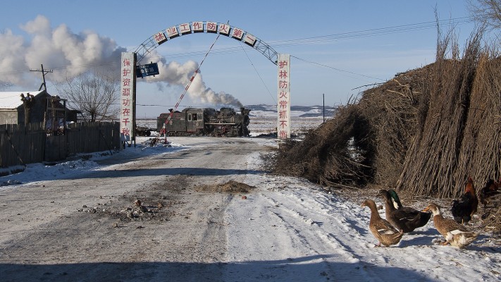 Ducks in the village of Xiahua watch a work train steaming into town on November 29, 2005. The train is taking workers and equipment to the aid of a derailed coal train near the railway's summit in the hills to the east.