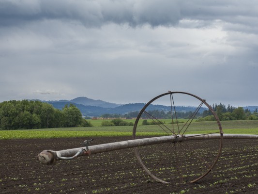 Portland and Western's Willamina Turn rolls west with empty flatcars for the lumber mill at the end of the Willamina Branch, passing irrigation equipment in a field on May 27, 2010.