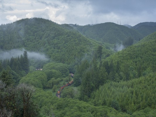 Portland and Western's Toledo Hauler curves east through the deep green of western Oregon's Coast Range mountains on June 10, 2010.
