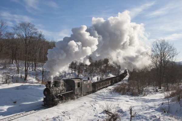 An eight-car loaded coal train approaches the summit of the Huanan Forestry Railway between Lixin and Tuoyaozi in China's Heilongjiang province on November 26, 2005.