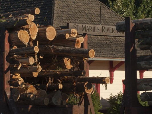 Loads of logs roll past the depot in St. Maries, Idaho.