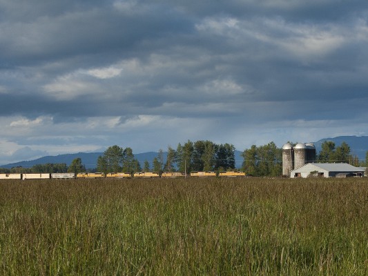 Union Pacific Railroad mixed freight train south passing a farm north of Eugene in western Oregon's Willamette Valley on May 5, 2010.