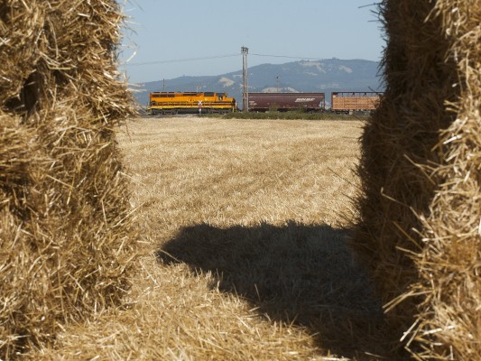 Portland and Western's American Turn freight train rolls north past haybales near Harrisburg, Oregon, on July 23, 2009. SD45 locomotive 3052 was unusual power for this train.