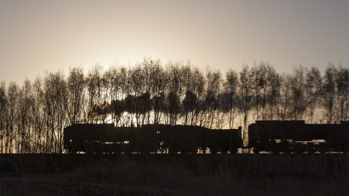 The rising sun silhouettes bare trees and two Jitong Railway QJ steam locomotives in November 2005.