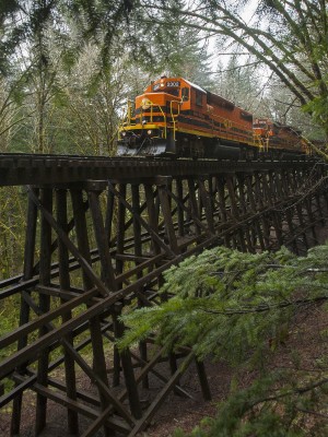 Portland and Western's Toledo Hauler crosses a timber trestle while climbing the grade from Nashville to Summit, Oregon, on March 31, 2011.