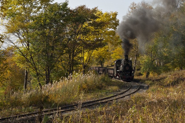 Near the summit of the grade on the Huanan Forestry Railway, 0-8-0 C2 steam locomotive 044 pulls an eight-car empty coal train through golden autumn trees on September 28, 2005.