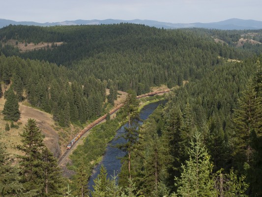 The St. Maries River Railroad's inbound Clarkia Logger threads the canyon of the St. Maries River with fifty loads of Idaho timber on a July afternoon in 2007.