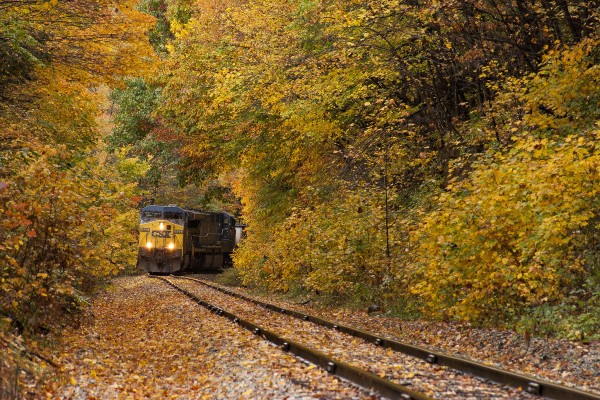 Fallen leaves litter the tracks near Green Valley, West Virginia, as a CSX mine shifter struggles up the three percent grade on the former Nicholas, Fayette & Greenbrier.