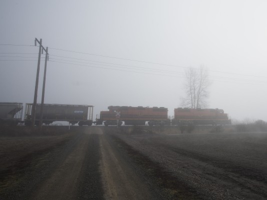 The American Turn rolls south through the morning fog on Portland and Western's Oregon Electric District between Albany and Junction City on February 4, 2009.