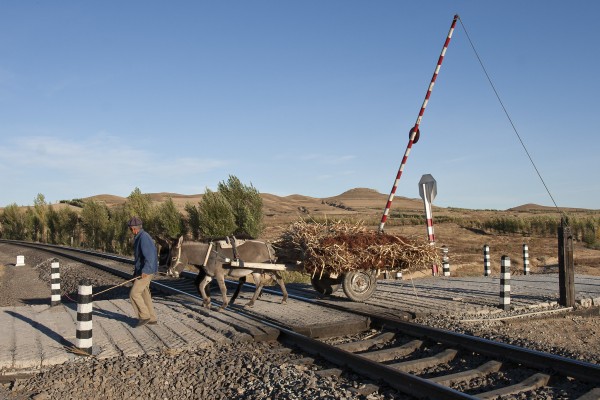 A farmer leads his donkey cart over the Jitong Railway near LIndong, Inner Mongolia, China, during the 2005 harvest.