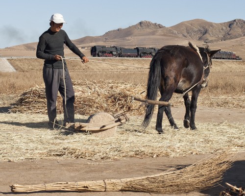 A farmer works the fields near Lindong as a westbound freight train passes behind him.