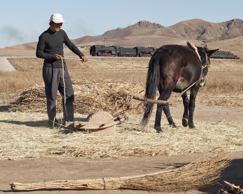 A farmer works the fields near Lindong as a westbound freight train passes behind him.