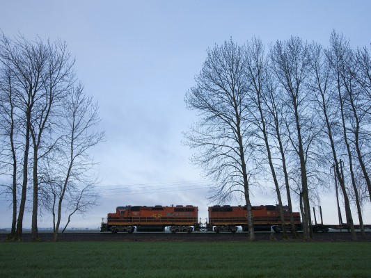 Portland and Western's OE Express freight train heads south on the Oregon Electric District between Albany and Junction City on February 17, 2010.