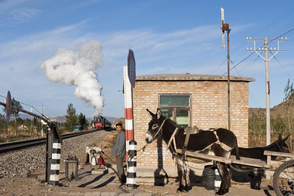 The gatekeeper's donkey waits at the road crossing in Yamenmiao, Inner Mongolia, China, as the Jitong Railway's morning passenger train approaches on October 3, 2005.