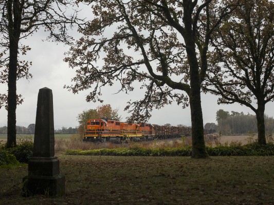 Portland and Western's Harbor Turn passes oak trees and an obelisk grave stone in the St. Francis Cemetery just east of Banks, Oregon, on October 30, 2009.