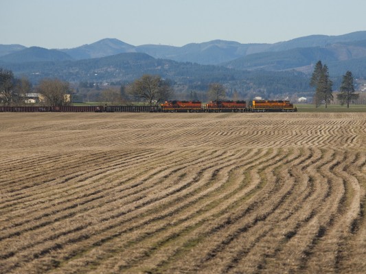 Portland and Western's Westsider freight train rolls north through fields near McMinnville, Oregon, on December 2, 2009.