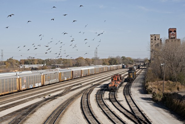 Pigeons circle above the Indiana Harbor Belt's Blue Island Yard in Riverdale, Illinois, on November 5, 2011. The view is looking east off the Halstead Avenue overpass.