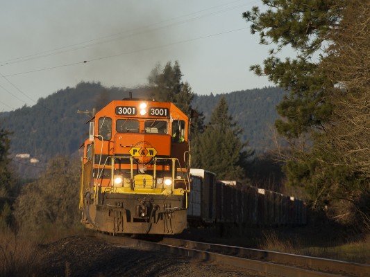 Portland and Western's Toledo Hauler freight train rolls into the morning sun approaching the end of its run at Albany, Oregon, on February 19, 2010.