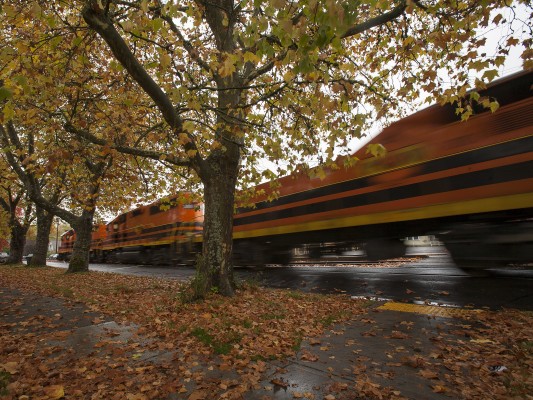 Portland and Western's Toledo Hauler freight train rolls past colorful maple trees in downtown Corvallis, Oregon, on October 29, 2009.