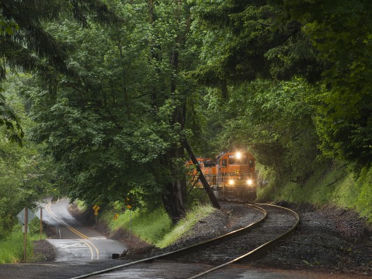 Portland and Western's Toledo Hauler heads east through dense foliage along Nashville Road between Nortons and Nashville, Oregon, on June 10, 2010.