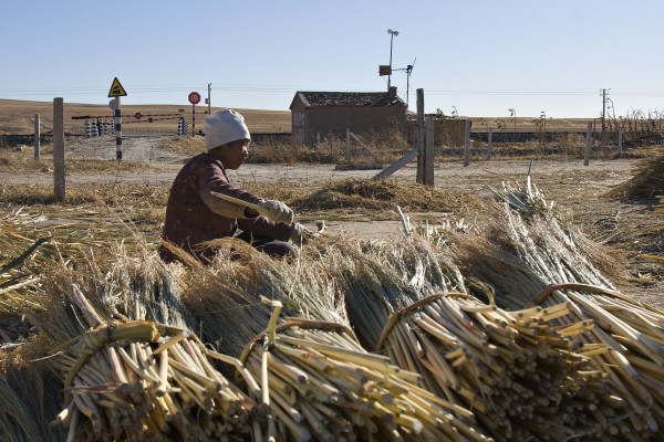 A woman bundles straw to make brooms along the Jitong Railway in Inner Mongolia, China, in October 2005. She and her family were paid 25 cents for each bundle.