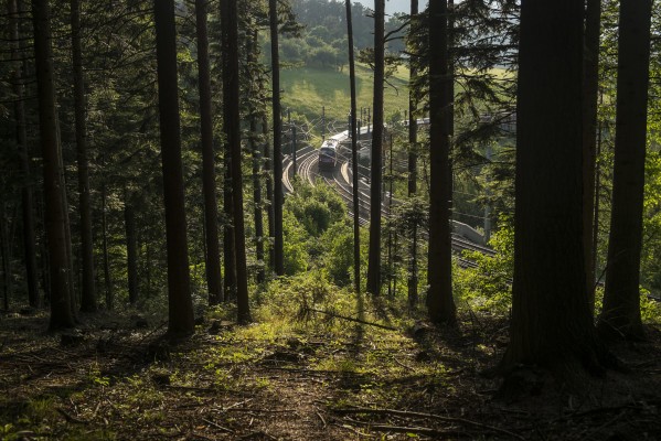 A southward RailJet climbs the grade near Eichberg as evening sun streams into the pine forest.