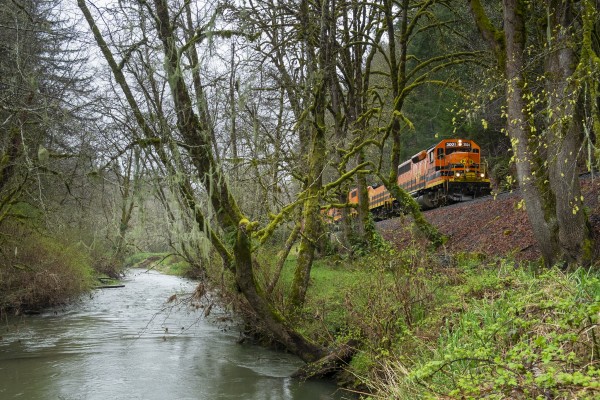 Portland and Western's Toledo Hauler freight train heading east up the Yaquina River past moss-covered trees on March 20, 2016.