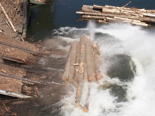 Bundled logs splash into the St. Joe River at the log yard in St. Maries, Idaho, in July 2004. At the time, Potlatch was still building log rafts in St. Maries to float across Benewah Lake to a mill in Coeur d'Alene.