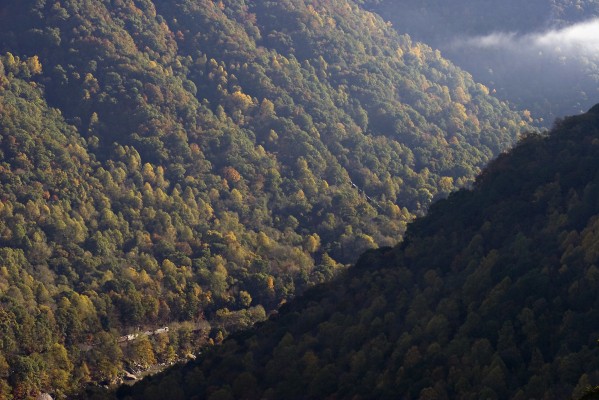 CSX eastbound grain train threading the New River Gorge near Kaymoor, West Virginia, on a sunny fall morning in 2007.