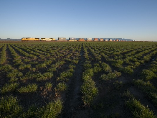 Union Pacific Railroad container train rolling north through the fields near Shedd, Oregon, on February 21, 2010.