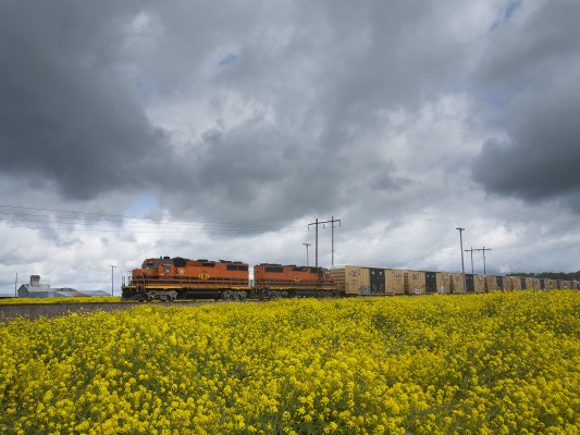 Portland and Western's American Turn rolls south through the fields between Albany and Junction City, Oregon, on May 11, 2009.