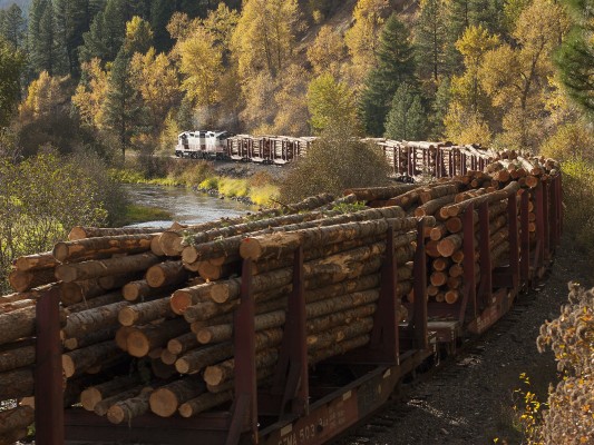 The St. Maries River Railroad's inbound Clarkia Logger rolls down the St. Maries River at Mashburn, Idaho, with a trainload of logs for the Potlatch mill in St. Maries on a colorful October afternoon in 2008.