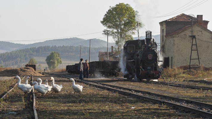 Geese cross the tracks in Xiahua on the morning of September 28, 2005. An eight-car loaded coal train has just arrived behind 0-8-0 C2 steam locomotive 168, which is heading for the water tower.