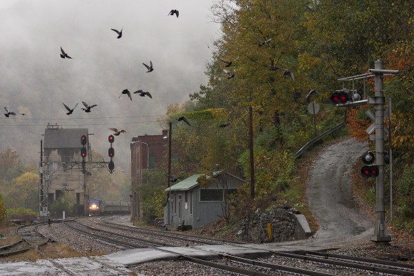 Pigeons scatter as Amtrak's eastbound "Cardinal," train no. 50, approaches Thurmond, West Virginia, deep in the New River Gorge. The train is making a flag stop to pickup a single passenger.