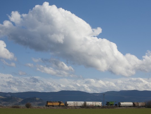 Union Pacific's local freight train is returning north to its base in Albany, Oregon, with five cars including a flatcar carrying a John Deere harvester for delivery via the team track on March 2, 2009.