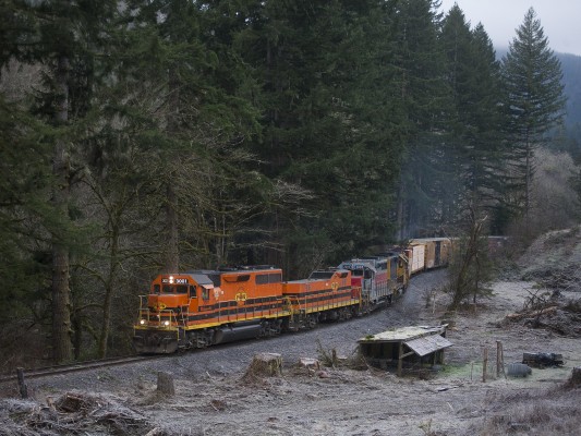 Recent logging in Oregon's Coast Range provided a clear view of the Portland and Western's Toledo Hauler negotiating an s-curve on December 29, 2009.