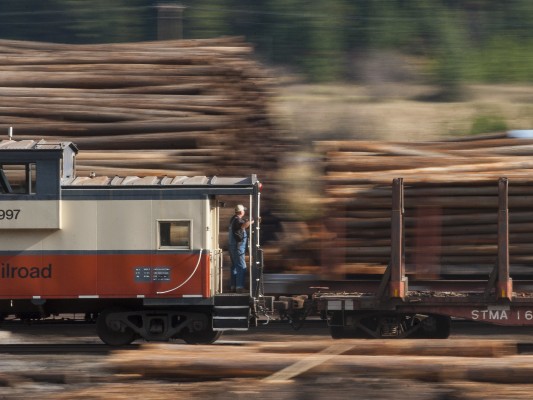 St. Maries River Railroad conductor Pat Hough watches from his caboose as the Clarkia Logger arrives in its namesake Idaho town in October 2008.
