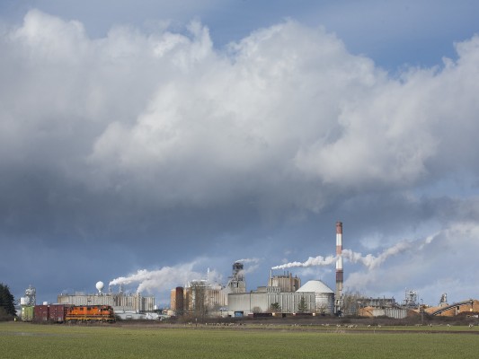 Portland and Western's American Turn freight train at is namesake, the sprawling American paper mill just west of Halsey, Oregon, on February 24, 2010.