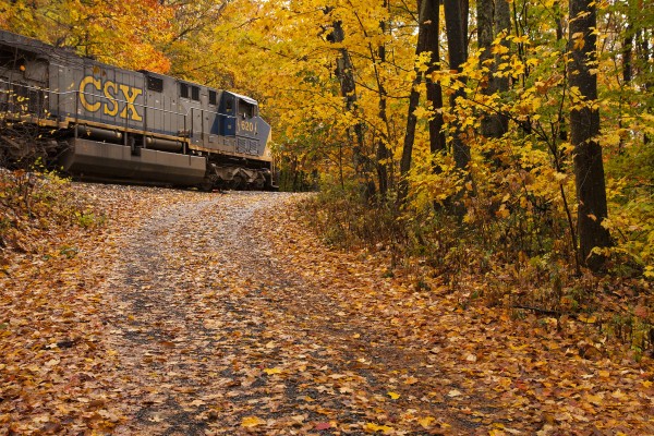 CSX AC6000 locomotive leading a mine shifter at Green Valley, West Virginia, on a peak fall day on the former Nicholas, Fayette & Greenbrier.