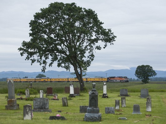 Union Pacific business train north, led by the Southern Pacific heritage locomotive, passing the Independent Order of the Odd Fellows Cemetery near Harrisburg, Oregon, on May 30, 2010.