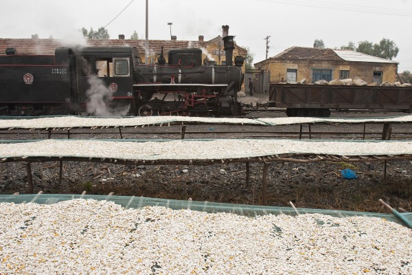 Pumpkin seeds dry in the village of Xiahua as narrow-gauge C2 0-8-0 steam locomotive 04 leads a work train on the foggy morning of September 27, 2005.