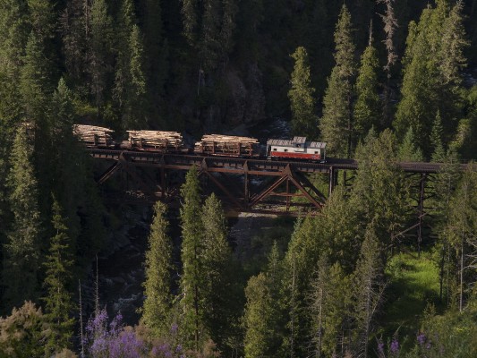 Caboose bring up the rear of the St. Maries River Railroad's inbound Clarkia logger crossing its namesake at Alder Creek, Idaho, with a trainload of logs from the Clarkia reload.