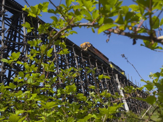 Portland and Western's Harbor Turn crosses Holcomb Creek trestle on June 17, 2011.