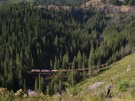 The St. Maries River Railroad's inbound Clarkia logger crosses its namesake at Alder Creek, Idaho, in July 2004 with a trainload of logs from the Clarkia reload bound for the Potlatch mill in St. Maries.