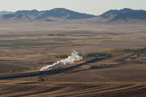 Eastboudn Jitong Railway freight train steaming through the fields past a flock of sheep at Gulumanhan, Inner Mongolia, China, in October 2005.