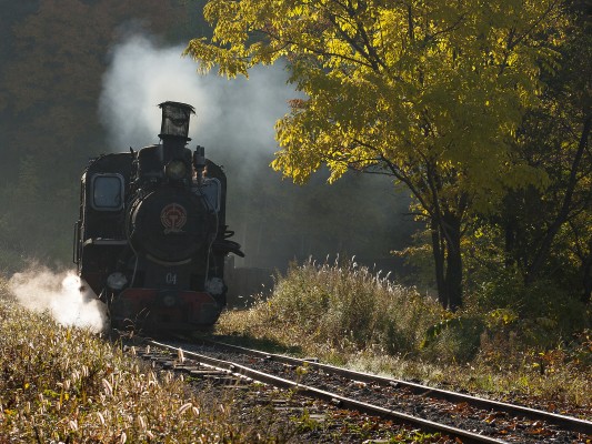 Narrow-gauge 0-8-0 C2 locomotive 04 eases downgrade with an eight-car loaded coal train, having just crested the summit between Lixin and Tuoyaozi on the morning of September 27, 2005.