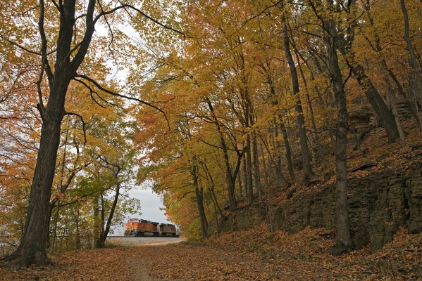 BNSF eastbound freight train passing fall foliage along the Mississippi River on River Road just south of the Chestnut Mountain Resort near Galena, Illinois, on October 9, 2012.